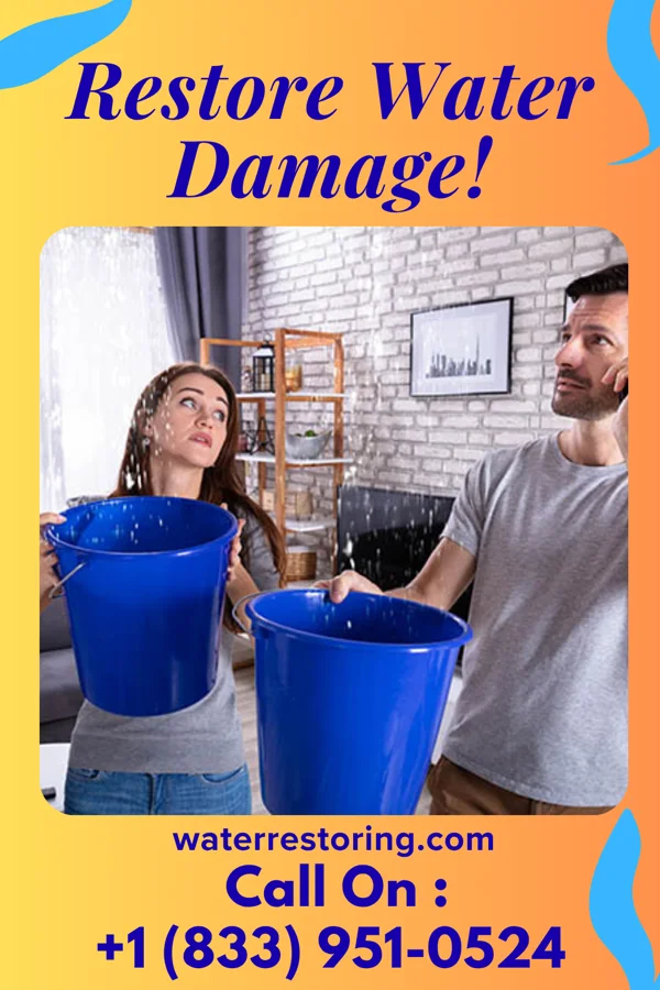 water restoration Prime Damage Restoration Team Brigantine